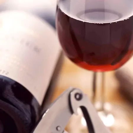 Ibis Bordeaux Route Des Vins 3* 페삭