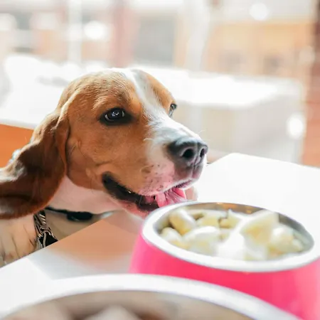 Ibis Bordeaux Route Des Vins 3*