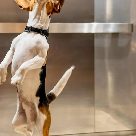 Ibis Bordeaux Route Des Vins