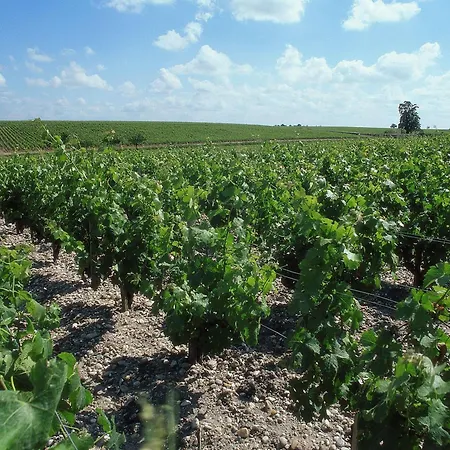 Hotel Ibis Bordeaux Route Des Vins