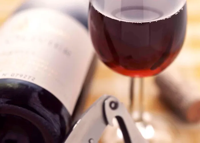 Ibis Bordeaux Route Des Vins 3* Pessac