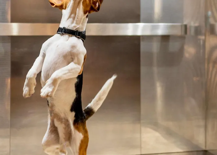 Ibis Bordeaux Route Des Vins