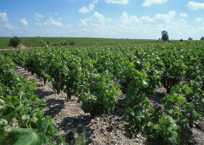 Ibis Bordeaux Route Des Vins Pessac